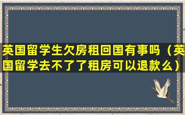 英国留学生欠房租回国有事吗（英国留学去不了了租房可以退款么）