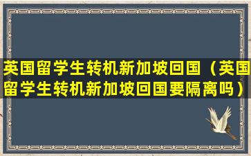 英国留学生转机新加坡回国（英国留学生转机新加坡回国要隔离吗）