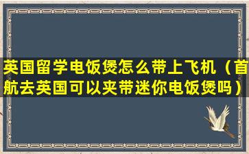 英国留学电饭煲怎么带上飞机（首航去英国可以夹带迷你电饭煲吗）