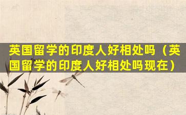 英国留学的印度人好相处吗（英国留学的印度人好相处吗现在）