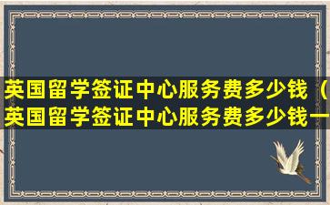 英国留学签证中心服务费多少钱（英国留学签证中心服务费多少钱一年）