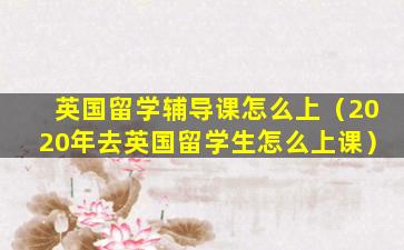 英国留学辅导课怎么上（2020年去英国留学生怎么上课）