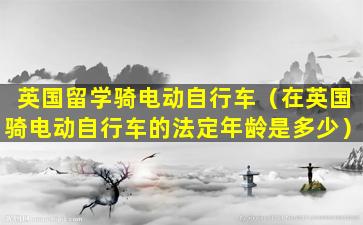 英国留学骑电动自行车（在英国骑电动自行车的法定年龄是多少）