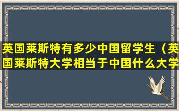 英国莱斯特有多少中国留学生（英国莱斯特大学相当于中国什么大学）