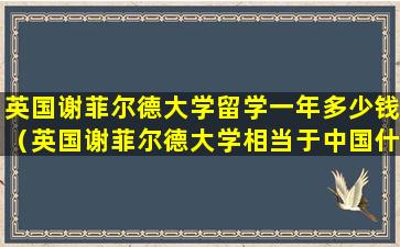 英国谢菲尔德大学留学一年多少钱（英国谢菲尔德大学相当于中国什么大学）