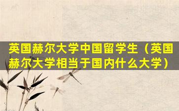 英国赫尔大学中国留学生（英国赫尔大学相当于国内什么大学）