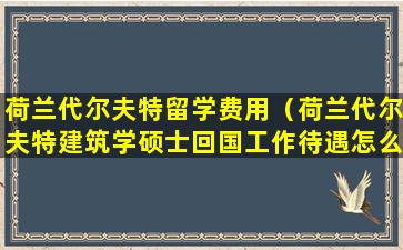 荷兰代尔夫特留学费用（荷兰代尔夫特建筑学硕士回国工作待遇怎么样）