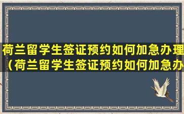 荷兰留学生签证预约如何加急办理（荷兰留学生签证预约如何加急办理手续）