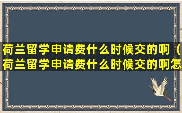 荷兰留学申请费什么时候交的啊（荷兰留学申请费什么时候交的啊怎么查）