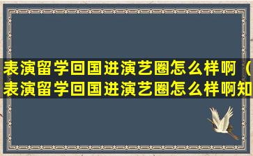 表演留学回国进演艺圈怎么样啊（表演留学回国进演艺圈怎么样啊知乎）