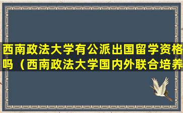 西南政法大学有公派出国留学资格吗（西南政法大学国内外联合培养硕士生项目）