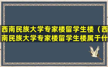 西南民族大学专家楼留学生楼（西南民族大学专家楼留学生楼属于什么性质得房子）