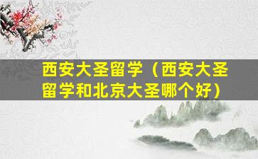 西安大圣留学（西安大圣留学和北京大圣哪个好）
