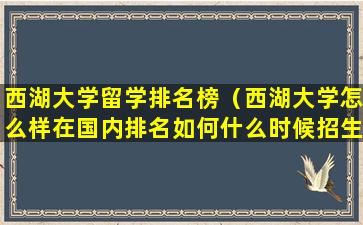 西湖大学留学排名榜（西湖大学怎么样在国内排名如何什么时候招生）