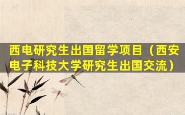 西电研究生出国留学项目（西安电子科技大学研究生出国交流）