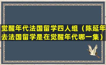 觉醒年代法国留学四人组（陈延年去法国留学是在觉醒年代哪一集）