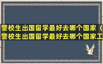 警校生出国留学最好去哪个国家（警校生出国留学最好去哪个国家工作）