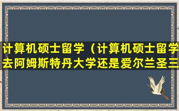 计算机硕士留学（计算机硕士留学去阿姆斯特丹大学还是爱尔兰圣三一大学）