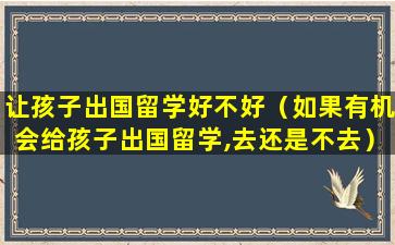 让孩子出国留学好不好（如果有机会给孩子出国留学,去还是不去）