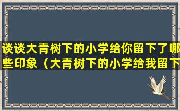 谈谈大青树下的小学给你留下了哪些印象（大青树下的小学给我留下了什么印象大青树下的小学）