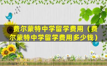 费尔蒙特中学留学费用（费尔蒙特中学留学费用多少钱）