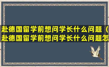 赴德国留学前想问学长什么问题（赴德国留学前想问学长什么问题怎么回答）