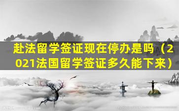 赴法留学签证现在停办是吗（2021法国留学签证多久能下来）