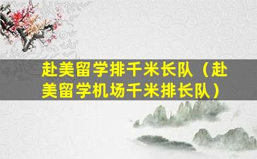 赴美留学排千米长队（赴美留学机场千米排长队）