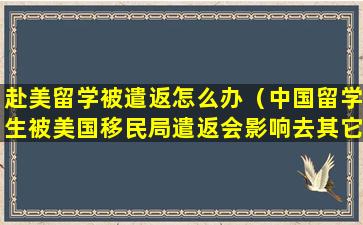 赴美留学被遣返怎么办（中国留学生被美国移民局遣返会影响去其它国家签证吗）