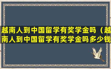 越南人到中国留学有奖学金吗（越南人到中国留学有奖学金吗多少钱）