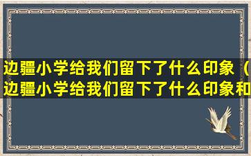 边疆小学给我们留下了什么印象（边疆小学给我们留下了什么印象和启示）