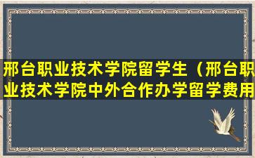 邢台职业技术学院留学生（邢台职业技术学院中外合作办学留学费用）