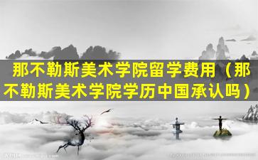 那不勒斯美术学院留学费用（那不勒斯美术学院学历中国承认吗）