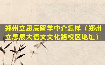 郑州立思辰留学中介怎样（郑州立思辰大语文文化路校区地址）