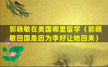 郭晓敏在美国哪里留学（郭晓敏回国是因为李好让她回来）