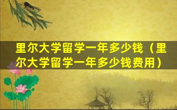 里尔大学留学一年多少钱（里尔大学留学一年多少钱费用）