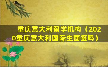 重庆意大利留学机构（2020重庆意大利国际生面签吗）