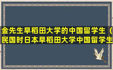 金先生早稻田大学的中国留学生（民国时日本早稻田大学中国留学生）