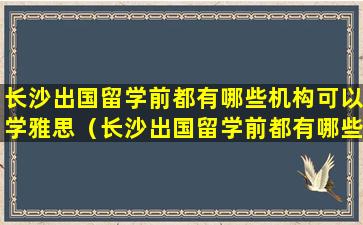 长沙出国留学前都有哪些机构可以学雅思（长沙出国留学前都有哪些机构可以学雅思托福）