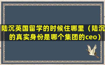 陆沉英国留学的时候住哪里（陆沉的真实身份是哪个集团的ceo）