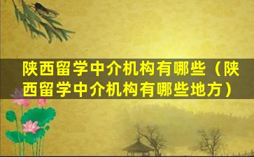 陕西留学中介机构有哪些（陕西留学中介机构有哪些地方）