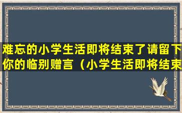 难忘的小学生活即将结束了请留下你的临别赠言（小学生活即将结束,回顾这六年难忘的时光）