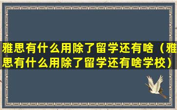 雅思有什么用除了留学还有啥（雅思有什么用除了留学还有啥学校）