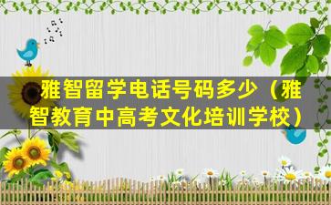 雅智留学电话号码多少（雅智教育中高考文化培训学校）