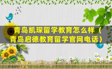 青岛凯琛留学教育怎么样（青岛启德教育留学官网电话）