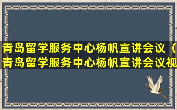 青岛留学服务中心杨帆宣讲会议（青岛留学服务中心杨帆宣讲会议视频）