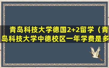 青岛科技大学德国2+2留学（青岛科技大学中德校区一年学费是多少）