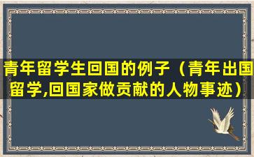 青年留学生回国的例子（青年出国留学,回国家做贡献的人物事迹）