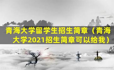 青海大学留学生招生简章（青海大学2021招生简章可以给我）