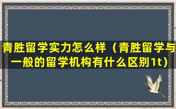 青胜留学实力怎么样（青胜留学与一般的留学机构有什么区别1t）